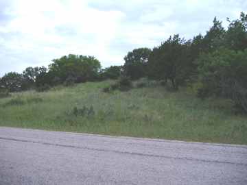 Looking at the lots from the street